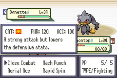 Screenshot of in-battle text and information