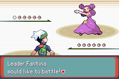 Screenshot showing generation 4 Gym Leaders
